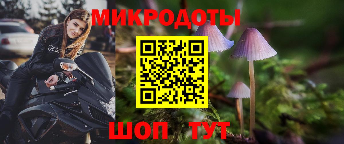 где купить наркотик  Вход с VPN  Псилоцибиновые грибы ЛСД  Борзя  Псилоцибиновые грибы MAGIC MUSHROOMS 